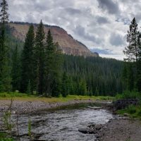 Landscape-4-576x1024-200x200